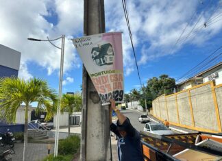Prefeitura de Lauro de Freitas realiza operação contra poluição visual e desordem urbana