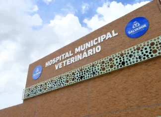 Hospital Veterinário de Salvador realiza mutirão de agendamento para castração de cães e gatos