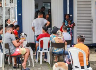 Castração gratuita ajuda a reduzir abandono de animais e prevenir doenças em Salvador