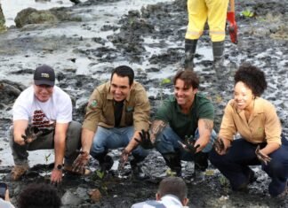 Com a presença de Daniel Cady e Mariene de Castro, estudantes da rede pública plantam 3 mil mudas de mangue em trecho do VLT